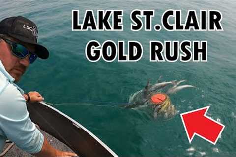 WE FOUND GOLD FISHING LAKE ST.CLAIR - INSANE FISH BITE!!!