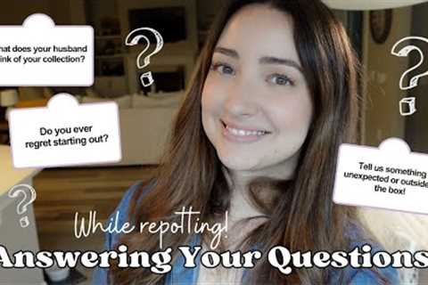 Answering Your Planty and Personal Questions! Chatty Q/A while Repotting!
