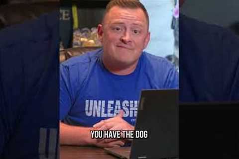 PUT YOUR PHONE DOWN and Go Help Your Dog!