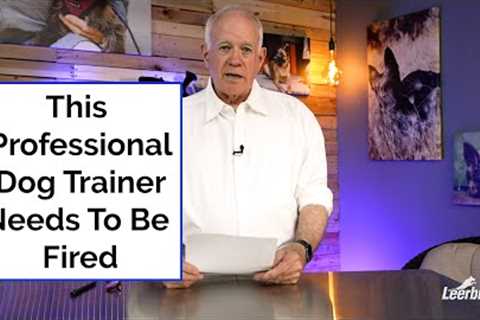 This Professional Dog Trainer Needs To Be Fired