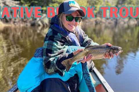 Native Brook Trout Fishing on the Remote Allagash Lake // Day One // North Maine Woods