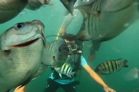 Malvan Trip scuba diving