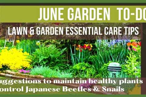 June Garden To Dos | Summer Lawn &amp; Garden Care Suggestions | Landscaping Care &amp; Suggestions