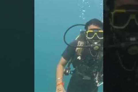 Scuba Diving in Andaman Islands #scubadiving #trending #shorts