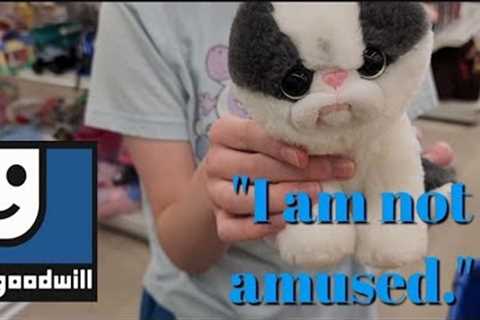 Definitely Not Our Mood - Shop Along With Me - Goodwill Thrift Store