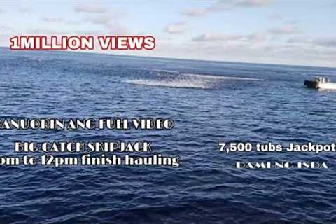 Full Video | Fishing Vessel Big Catch Skipjack Tuna | 7,500 Tubs 1 Setting Start 4pm to 12;06