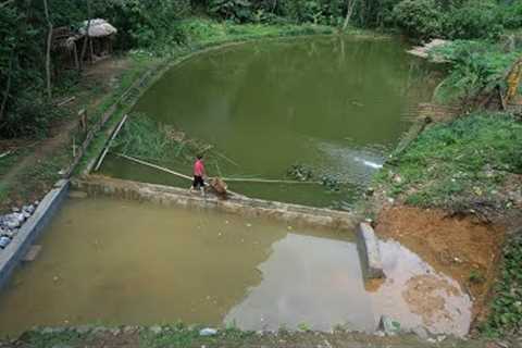 Wall Finishing, Dig soil to expand and direct water the pond, create space for fish to play