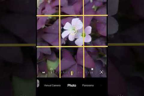 Basic phone camera settings for better photography. #photographytips #mobilephotography #camera