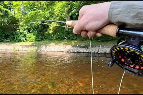 Fly Fishing in a Scottish Heatwave with Davie McPhail