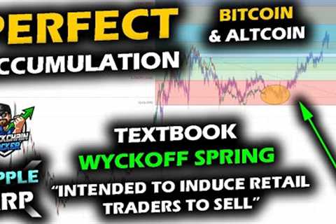 TEXTBOOK ACCUMULATION as Altcoin Market and Bitcoin Price Wyckoff Spring Define Shakeout XRP Retrace