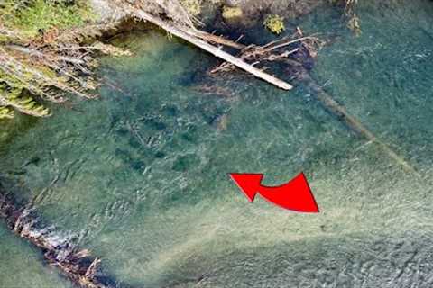The Fly Fishing madness in Taupo has started
