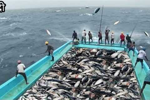 Amazing Fast Tuna Fishing Skill, Catching Big Fish In The Sea [HINDI]