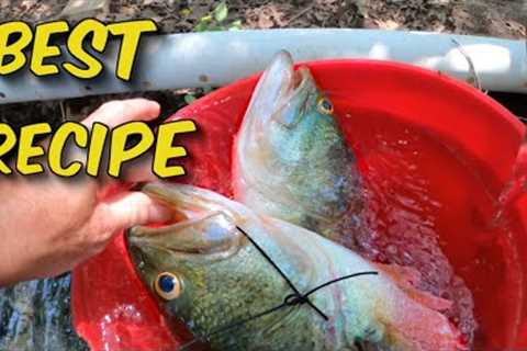 Untold Secrets To Preparing &amp; Cooking AMAZING Fried Fish / Catch N Cook