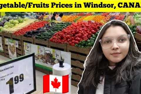 1st Grocery Shopping 🛒 in Windsor, CANADA 🇨🇦 in 2023 || Freshco, Canada || @Jhanvivadher