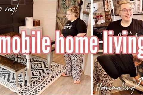 *NEW RUG!* spend the day with me | mobile home living | mobile home homemaking and mom life!
