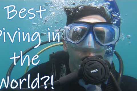 Best Diving in the World? | Scuba Diving Kauai