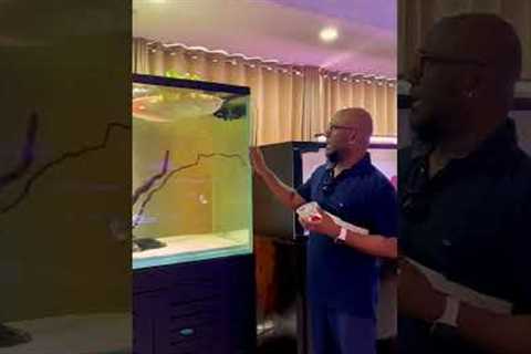 MONSTER FISH FEEDING 🔥🐋 #fish #aquarium #monsterfish #tamil #ttf