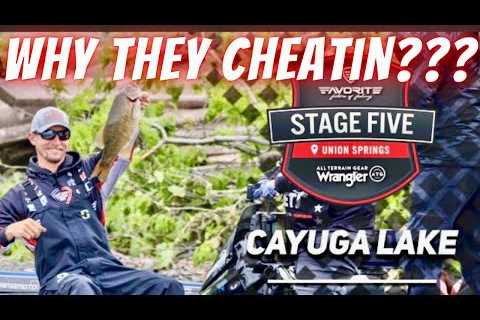 Tournament Bass Fishing Pros Can’t Stop Cheating! Plus Lake Fork Skeeter Tourney recap!