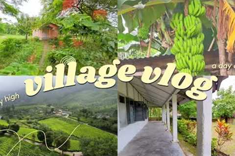 my 2nd vlog ❣️1st time village tour with family !!! 🤗 #travel #travelvlog #village