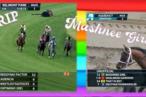 RIP Mashnee Girl. 🌸 KILLED AT BELMONT 6.11.23 @thenyra #horseracing