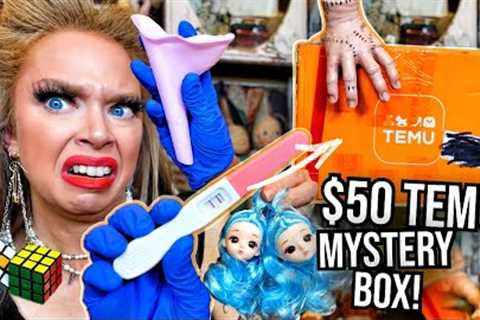 Shocking $50 Temu Mystery Box! (Was It Worth It?)