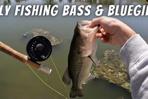Fly Fishing For Bluegill and Bass On Spawning Beds (How To Catch Panfish/Bass With A Fly Rod)