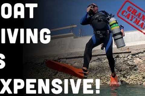 7 Tips For Shore Diving For Beginner Scuba Divers