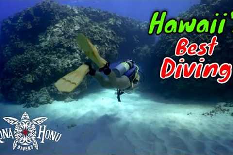 Best Scuba Diving in Hawaii with Kona Honu Divers