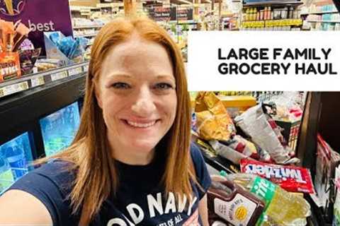 LARGE FAMILY GROCERY HAUL