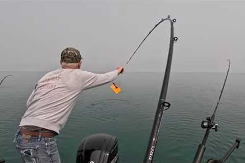 EPIC DAY at LAKE ERIE! (Unexpected Catch!!)
