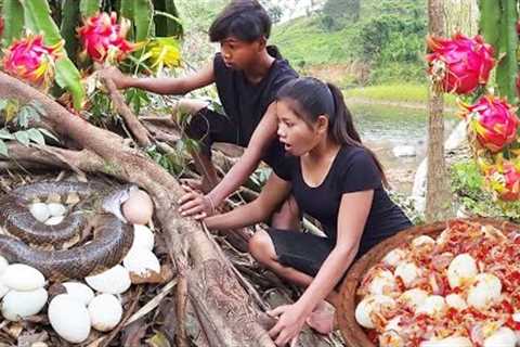 Pick Natural dragon fruit and egg for food- Egg spicy delicious cooking for lunch, Survival cooking