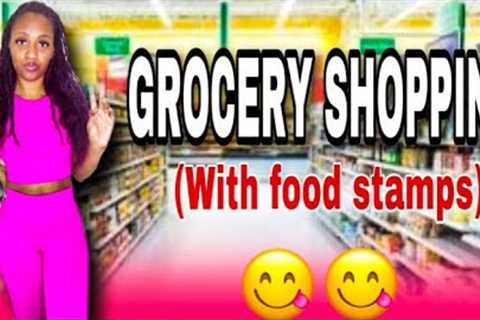 GROCERY SHOPPING VLOG| FOOD STAMPS HAUL | USING MY FOODSTAMPS FOR GROCERIES