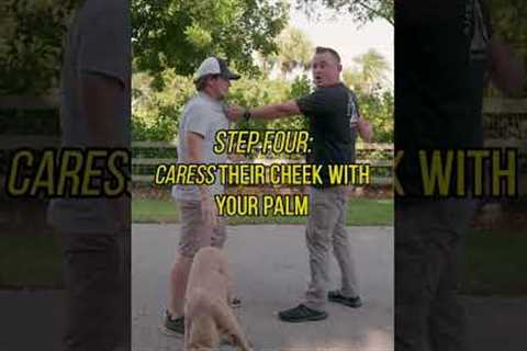 STOP Baby Talking Strangers’ Dogs!