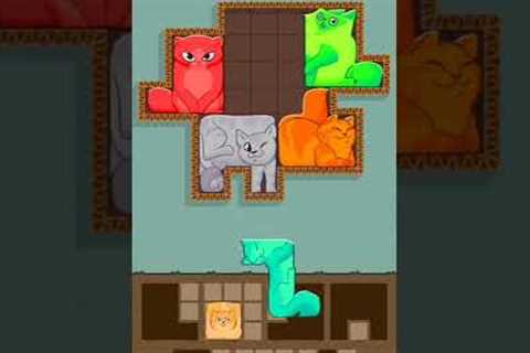 Puzzle Cats - Gameplay Walkthrough (iOS &amp; Android) #shorts #games #funny