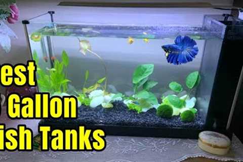 Best 5 Gallon Aquarium Fish Tanks | Setup ideas &amp; Review