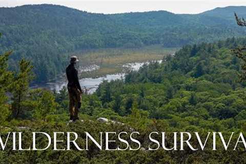 3-Day Solo Survival Catch and Cook in the Deep Wilderness