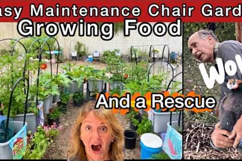 Container Gardening TONS Growing Tomatoes Cucumbers Peppers Onions Garlic Flowers Tips &amp; BIRD..