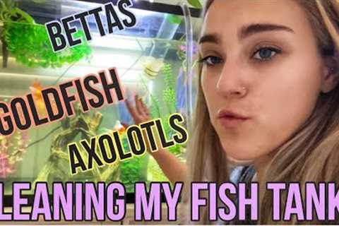 CLEANING MY FISH TANKS: How I Maintain Freshwater Aquariums