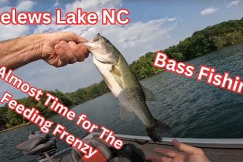 Belews Lake NC Bass Fishing 6-10-2023