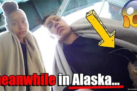 Meanwhile, In Alaska... (Caught on Ring Doorbell)