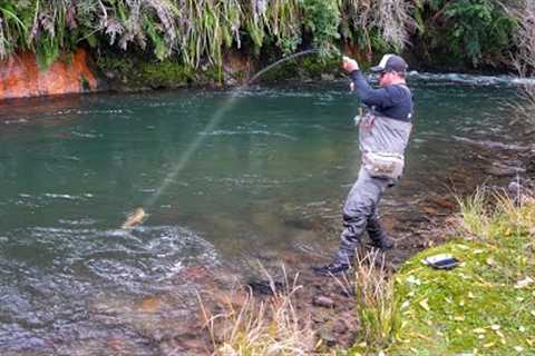 Fly Fishing And Camping New Zealand’s Back Country.