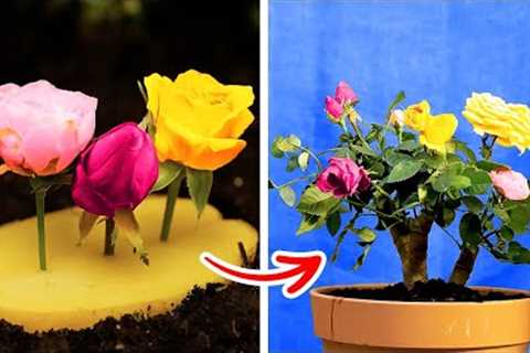 Fascinating Planting Hacks And Indoor Gardening Tips