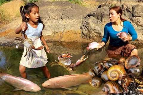 Top survival of mother with daughter in forest- Catch and cook fish &amp; snail +2food more videos