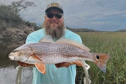 Catching Redfish in a tiny creek! Perfect blackened Redfish! (Catch, Cook, Clean)