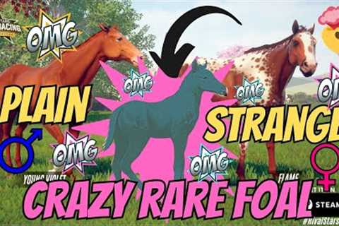 PLAIN + STRANGE = THE CRAZIEST FOAL I'VE EVER SEEN!! RIVAL STARS HORSE RACING