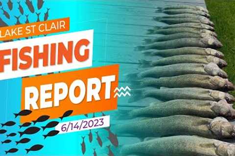 Lake St. Clair Fishing Report 6/14/2023