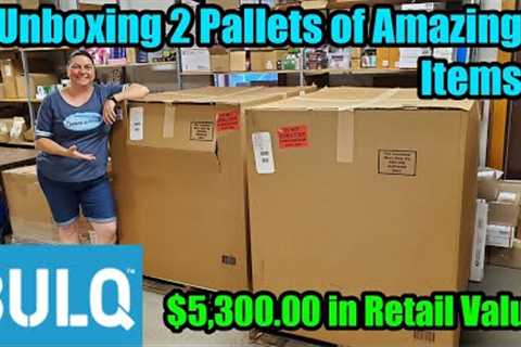 Unboxing 2 Pallets of Uninspected returns from Bulq.com Liquidation. Check it out!