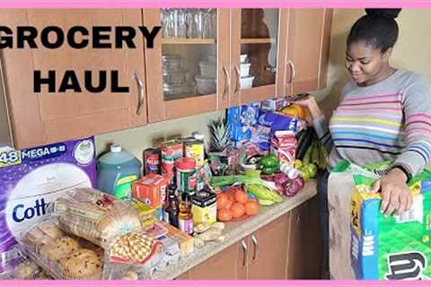 GROCERY HAUL IN WINNIPEG MANITOBA || NIGERIAN IN CANADA || GROCERY SHOPPING