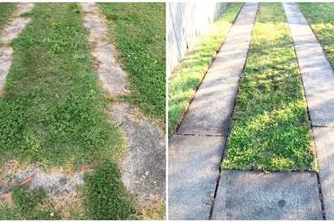UGLY yard made PRISTINE! Lawn edging, mowing, pressure washing