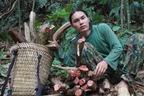Harvest, forest vines bring to the market to sell, survival alone